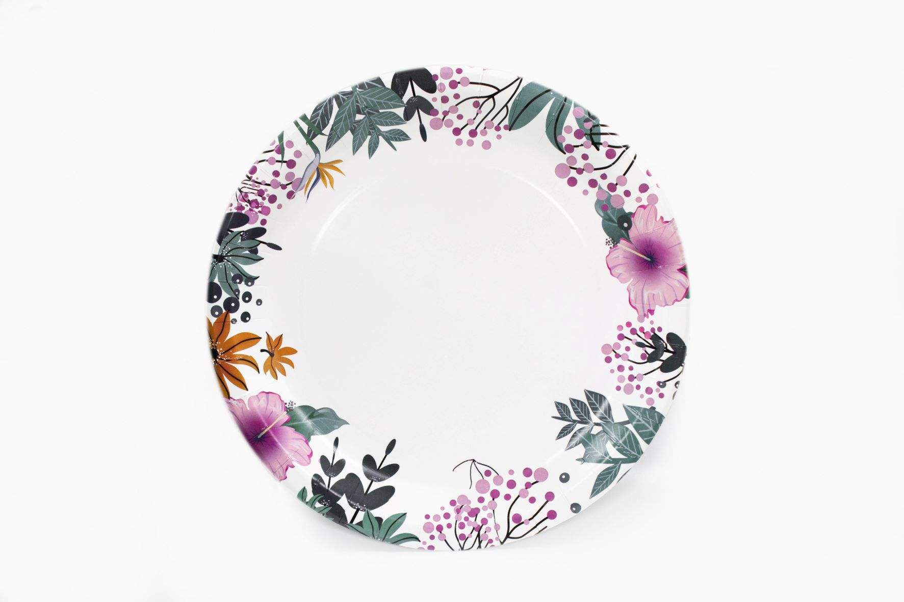 Food Tray