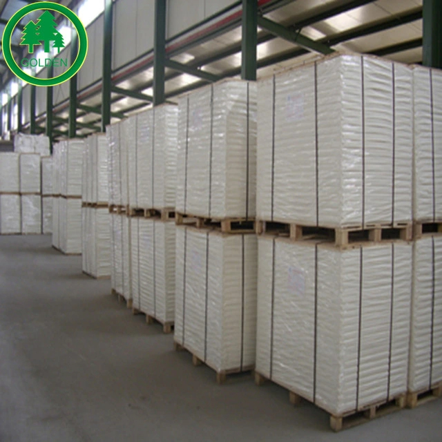Glossy Coated Paper